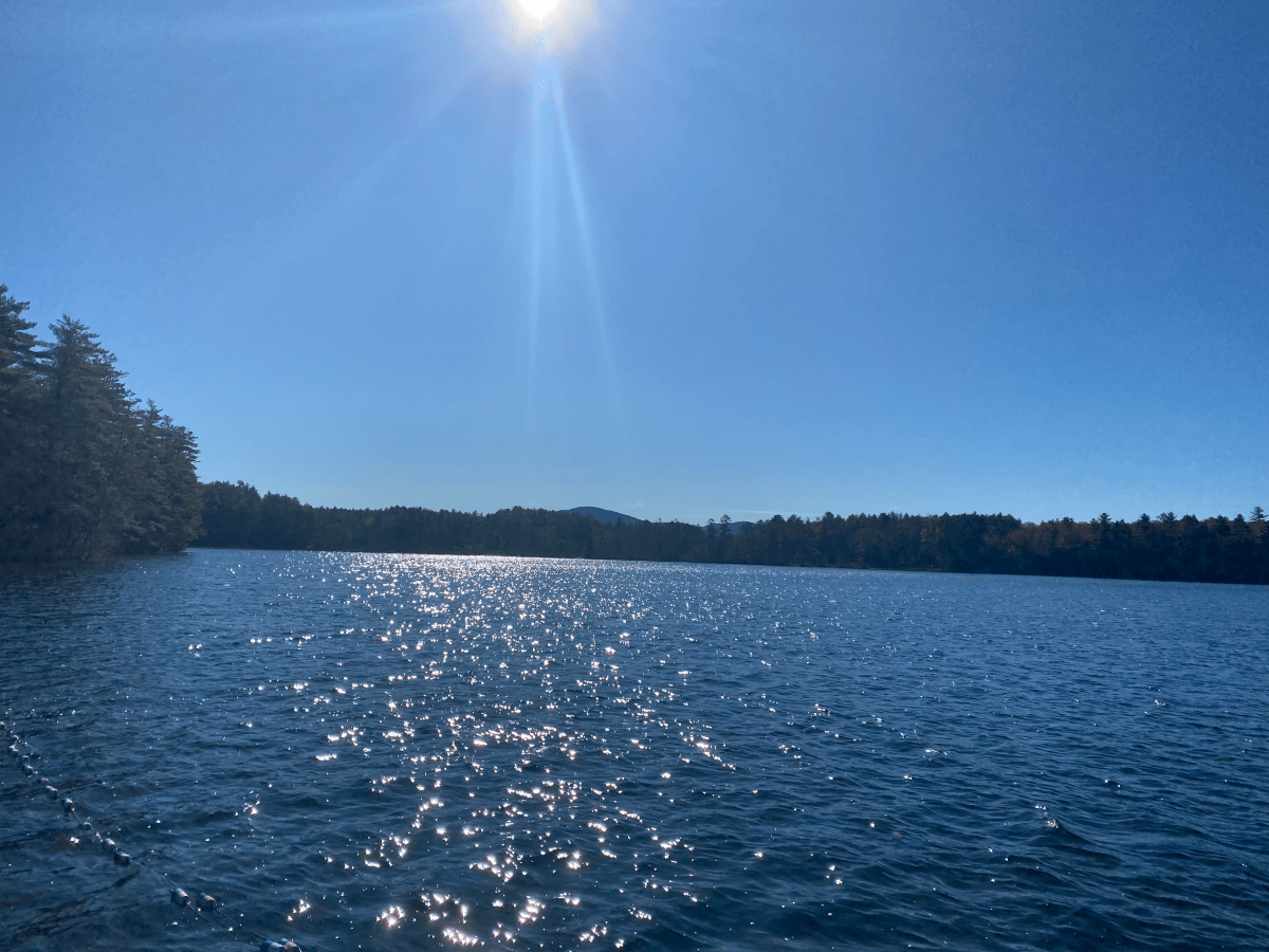 Presidential elections make me more&nbsp;faithful